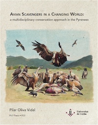 Tesis doctoral: Avian scavengers in a changing world: a multidisciplinary conservation approach in the Pyrenees